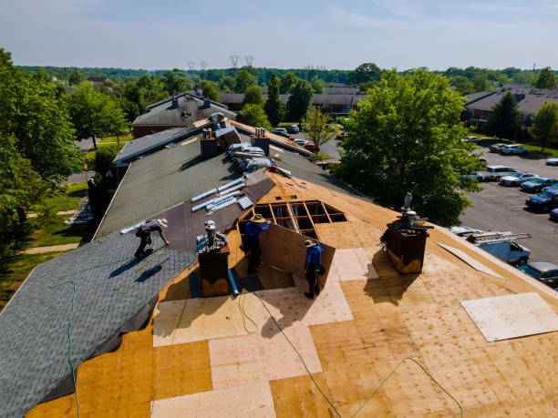 Trusted Roof Replacement service in Como, NC - Brentwood Metal Roofing